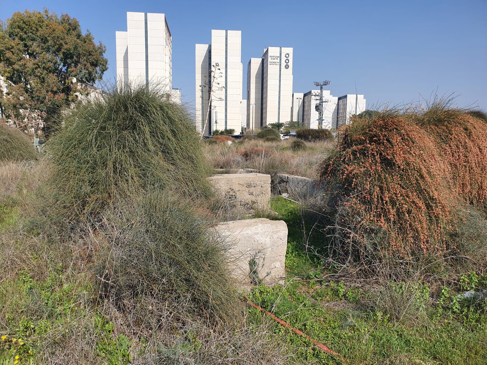 WhatsApp Image 2023-01-25 at 2.14.07 PM.jpeg